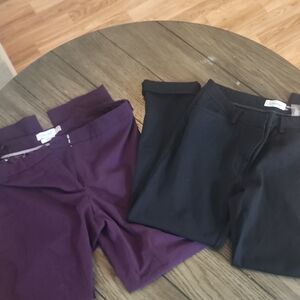 Womens Calvin Klein Purple and Black Dress Pants Set (2)